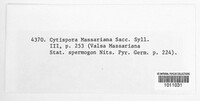 Cytospora massariana image